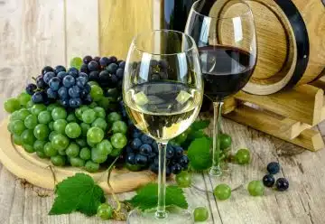 Apprenez à connaître les vins : les différents types et caractéristiques